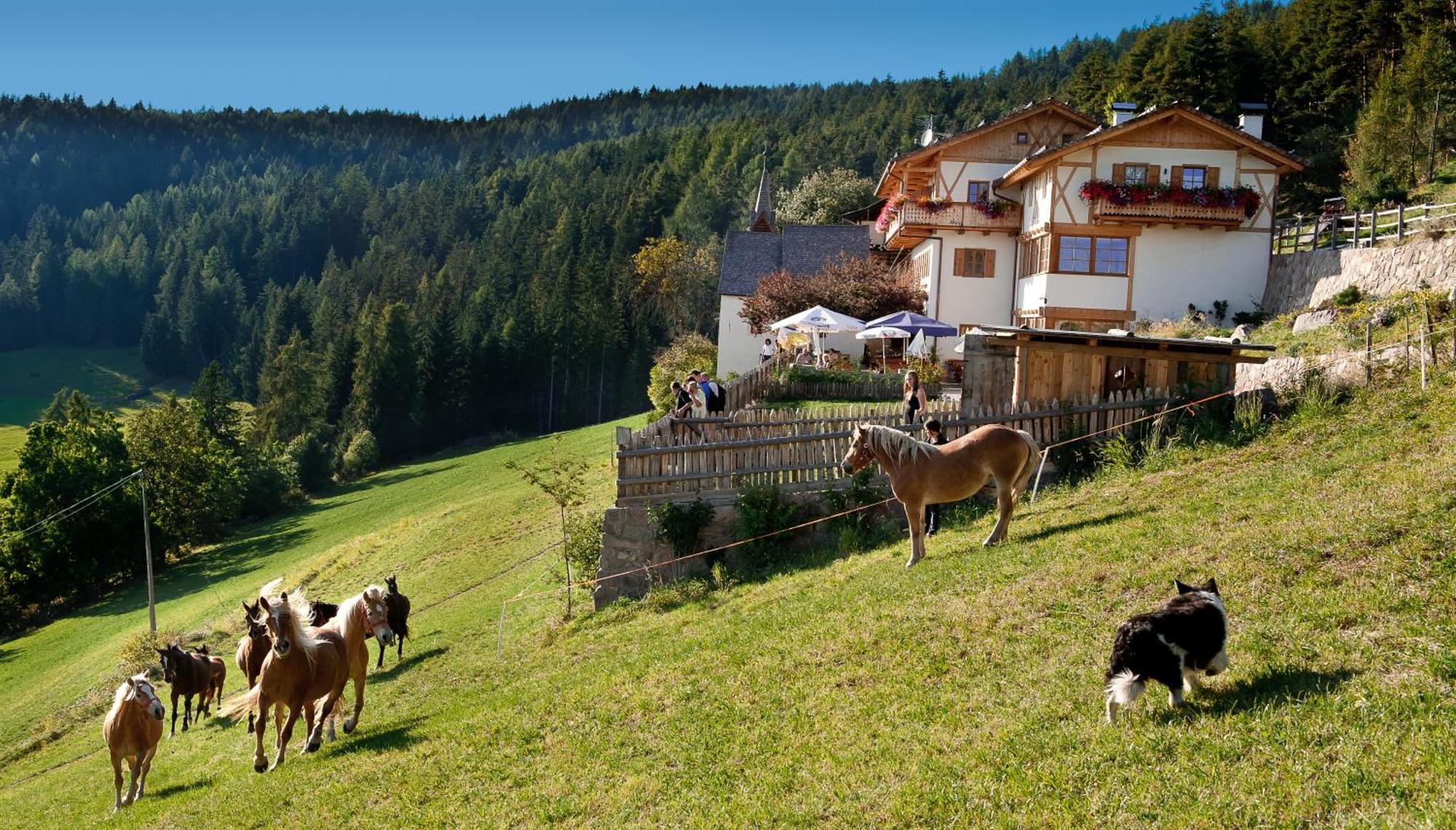 Gasthaus Bad Siess Longostagno Exterior photo